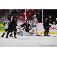Vancouver Giants face Moose Jaw Warriors goaltender Bailey Brkin