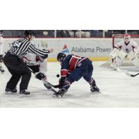 Macon Mayhem take on the Birmingham Bulls