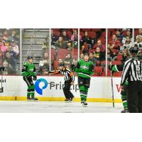 Texas Stars celebrate a goal against the Iowa Wild