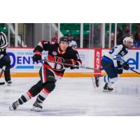 Belleville Senators forward Vitaly Abramov