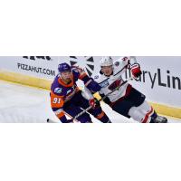 South Carolina Stingrays vs. the Orlando Solar Bears