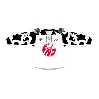 Quad City Storm Chick-Fil-A jersey
