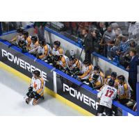 Utah Grizzlies bench