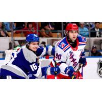 Kitchener Rangers centre Liam Hawel (right) vs. the Sudbury Wolves