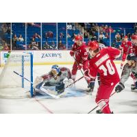 Olivier Archambault of the Allen Americans vs. the Tulsa Oilers