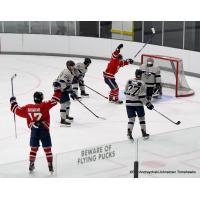 Johnstown Tomahawks celebrate a goal against the Wilkes-Barre/Scranton Knights