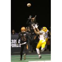 Arizona Rattlers defensive back Allen 