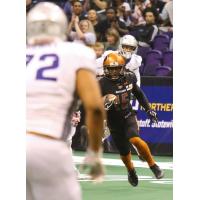 Arizona Rattlers defensive back Dillion Winfrey