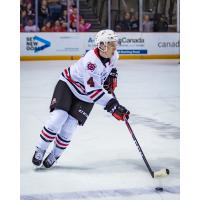 Niagara IceDogs defenceman Isaac Enright