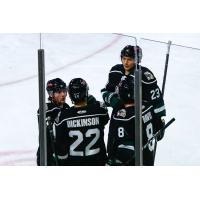 Utah Grizzlies huddle