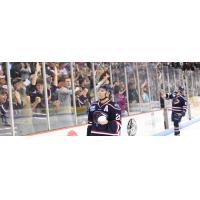 South Carolina Stingrays defenseman Spencer Trapp