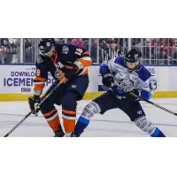 Greenville Swamp Rabbits battle the Jacksonville IceMen