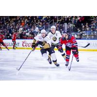 Newfoundland Growlers vs. the Brampton Beast