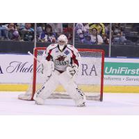 Amarillo Bulls goaltender Charlie Glockner