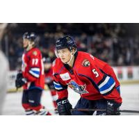 Springfield Falcons forward Henrik Borgstrom