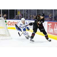 Cleveland Monsters defenseman Gabriel Carlsson vs. the Toronto Marlies