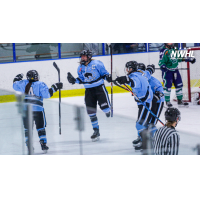 Buffalo Beauts celebrate a goal