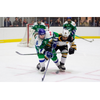 Shannon Doyle of the Connecticut Whale (left) battles for the puck