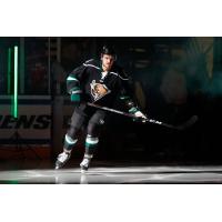 Utah Grizzlies hit the ice