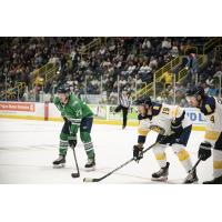 Florida Everblades forward Tanner Jeannot (left) vs. the Norfolk Admirals
