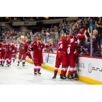 Allen Americans congratulate Gabe Gagne on his OT game-winner vs. the Utah Grizzles