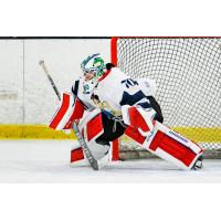 Metropolitan Riveters goaltender Sam Walther