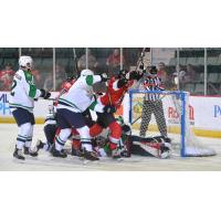 Adirondack Thunder celebrate a goal against the Maine Mariners