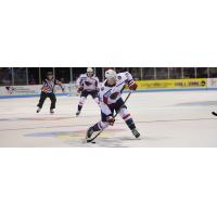 South Carolina Stingrays forward Casey Bailey