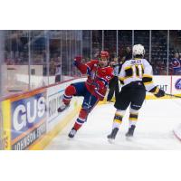 Spokane Chiefs left wing Luke Toporowski celebrates vs. the Brandon Wheat Kings