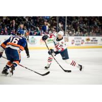 Springfield Thunderbirds defenseman Riley Stillman
