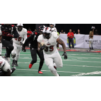 Jacksonville Sharks fullback Alstevis Squirewell