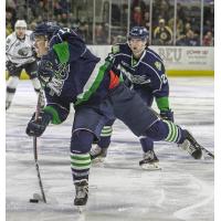 Maine Mariners forward Ty Ronning