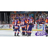 Orlando Solar Bears celebrate a goal