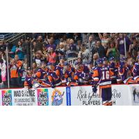 Orlando Solar Bears forward Chris LeBlanc gets high fives from the bench