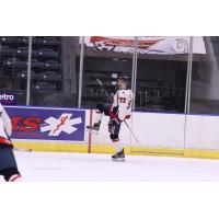 Amarillo Bulls forward David Hill