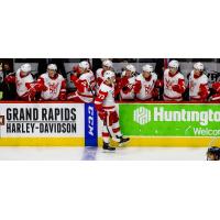 Grand Rapids Griffins left wings Matt Puempel