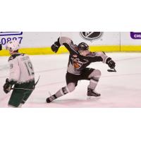 Cole Shepard of the Vancouver Giants celebrates his goal against the Everett Silvertips