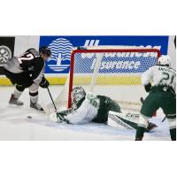 Vancouver Giants centre Justin Sourdif tries to sneak one past the Everett Silvertips