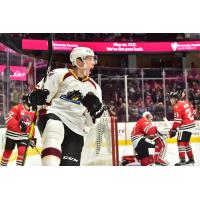 Cleveland Monsters defenseman Ryan Collins reacts after his goal against the Rockford IceHogs