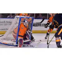 Greenville Swamp Rabbits goaltender Chris Nell