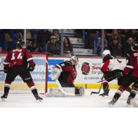 Vancouver Giants goaltender Trent Miner vs. the Prince George Cougars