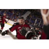 Vancouver Giants centre Tristen Nielsen