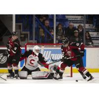 Vancouver Giants defenceman Alex Kannok Leipert (right) vs. the Prince George Cougars