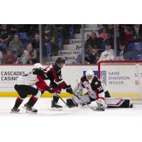 Vancouver Giants centre Justin Sourdif skates in against the Prince George Cougars