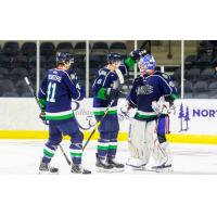 Maine Mariners congratulate goaltender Connor LaCouvee after a win against the Newfoundland Growlers