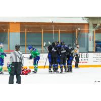 Minnesota Whitecaps celebrate a goal against the Connecticut Whale