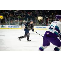 Florida Everblades defenseman Michael Downing