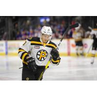 Defenseman Kyle Cumiskey with the Providence Bruins