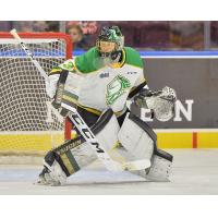 Goaltender Jordan Kooy with the London Knights