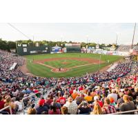 A crowd at Hadlock Field, home of the Portland Sea Dogs